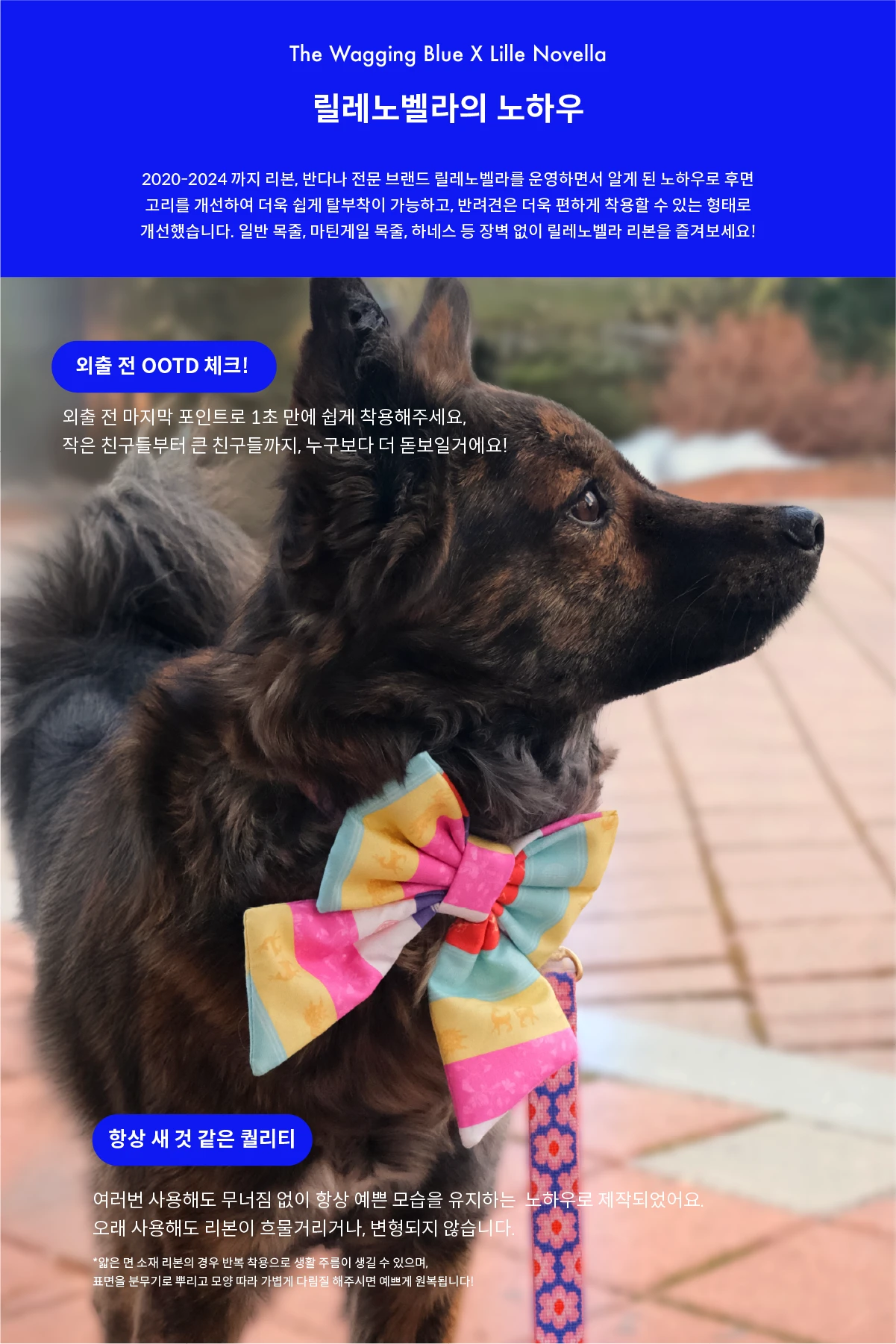 Saekdong Ribbon (색동)