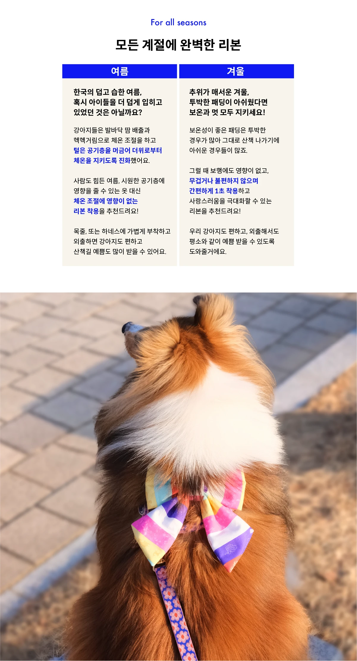 Saekdong Ribbon (색동)