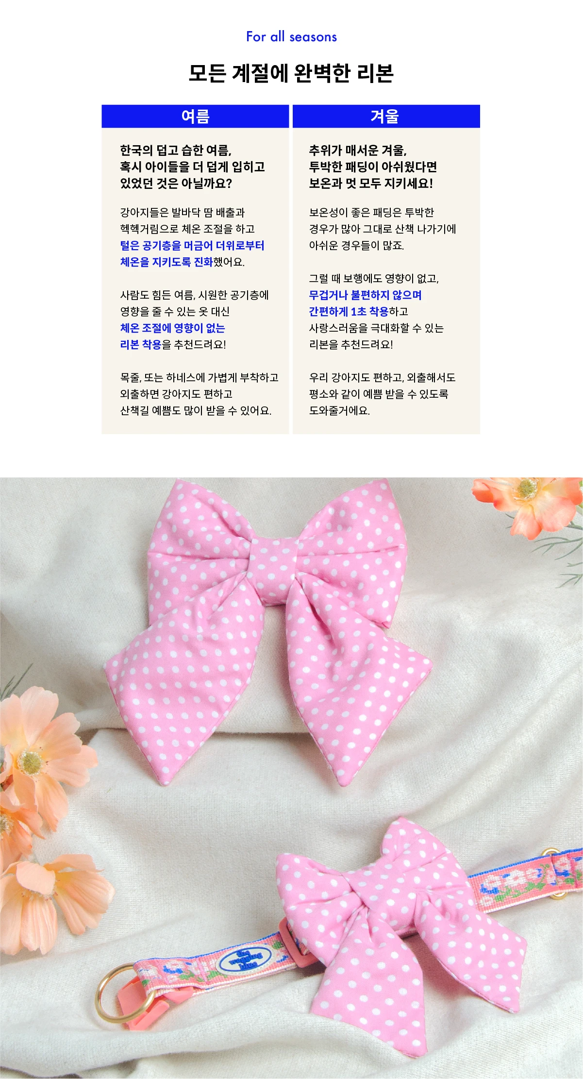 Mellow Dotty Ribbon