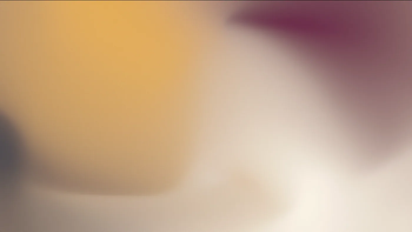 TEXTURE OF SENSE 시각 자료 1
