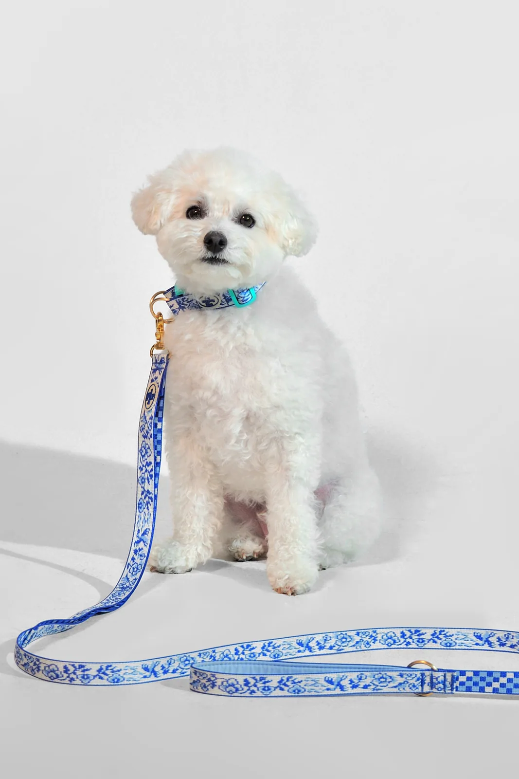 THE WAGGING BLUE 시각 자료 2
